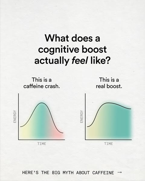 Honest-chart before and after